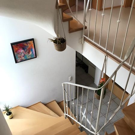 House With Castle View & Art Apartment Günzburg Екстериор снимка