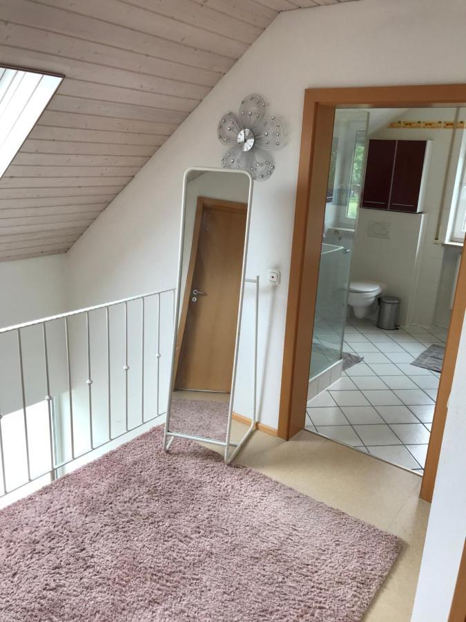 House With Castle View & Art Apartment Günzburg Екстериор снимка